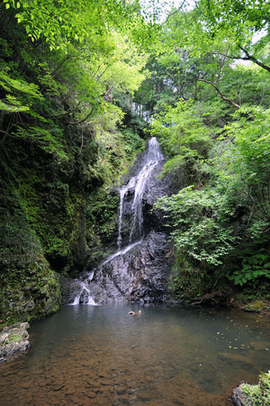 滝又の滝.jpg