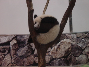 DSC01775.JPG