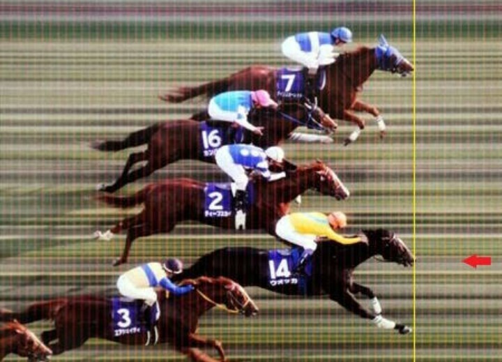 🐴史上初の👑8冠達成なるか？【第162回天皇賞秋】展望 | 掲示板