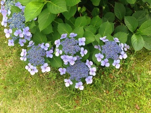 IMG_0698.JPG