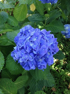 IMG_0076.jpg
