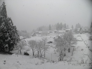 IMG_5900.JPG