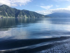 36E30C31-B95A-48D5-8A27-0DFAD8A27140.jpeg