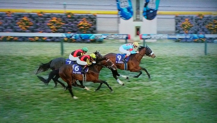 第118回 天皇賞(秋) サイレンススズカ 馬連 馬券 +カード2枚 計る