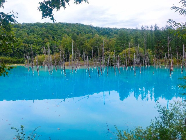 青い池.jpg