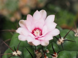 OI000011_(11)_1.jpg