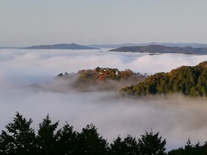 IMG_20201031_070047.jpg