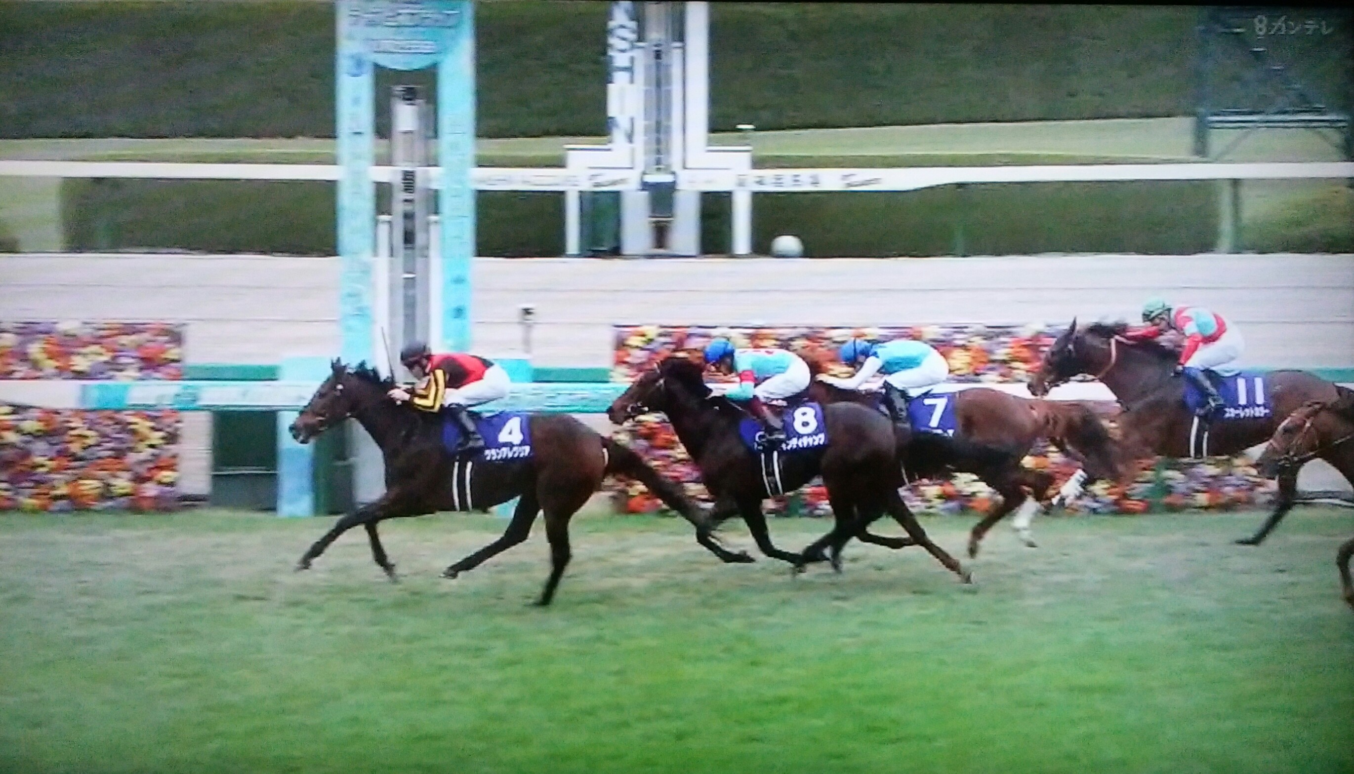 史上 2頭目の 牝馬マイル完全制覇 第37回マイルチャンピオンシップ 結果 掲示板 マイネ王 史上 2頭目の 牝馬マイル完全制覇 第37回マイルチャンピオンシップ 結果 掲示板 マイネ王