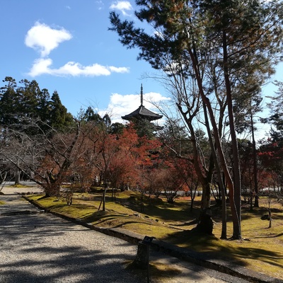 仁和寺2.jpg