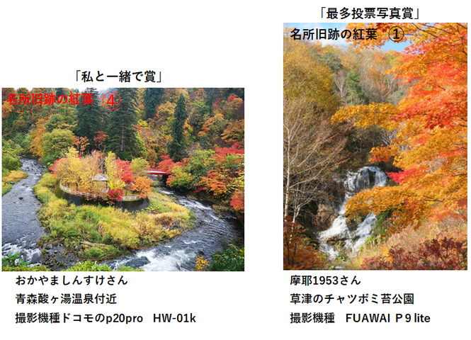 紅葉名所当選写真.png