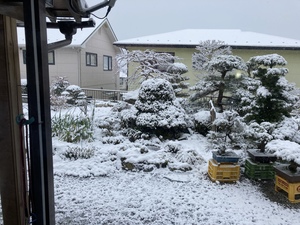 53056024-A73C-4F6A-BD1C-07C54DEA3FC5.jpeg
