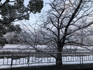 BCBBF20B-AC62-491A-88F0-B75237C6568E.jpeg