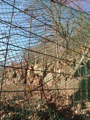 IMG20210104143528.jpg