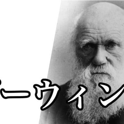 ダーウィン.jpg