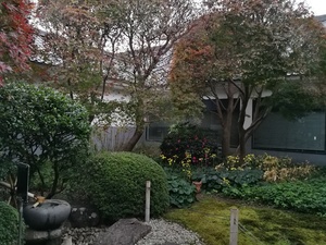 IMG_20201201_163232.jpg