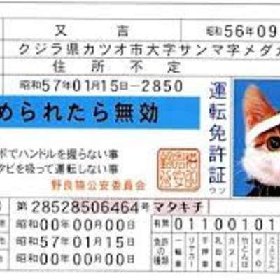 免許証.jpg