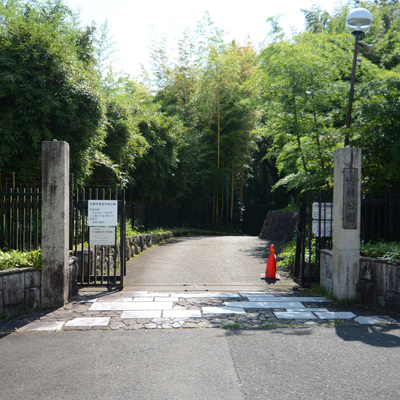 竹林公園.jpg