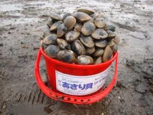 潮干狩り.jpg