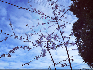 B88447C0-CFF1-4B65-B8C6-0AF5D3819411.jpeg