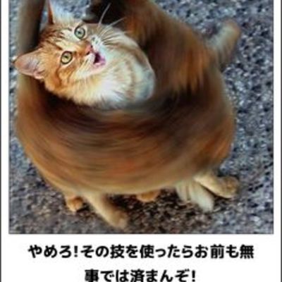 止めろ！その技は！.jpg