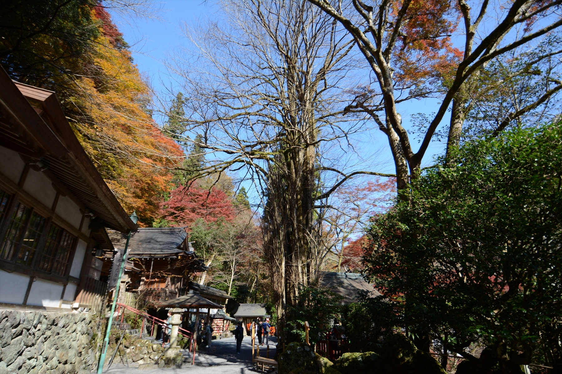 貴船神社018.JPG