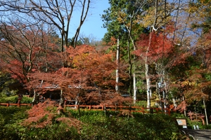 貴船神社025.JPG