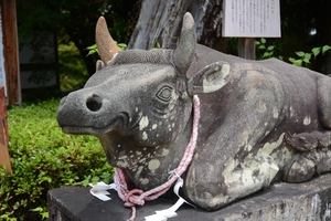 長岡天満宮009.JPG