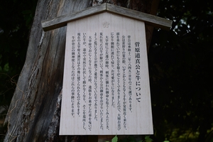 長岡天満宮010.JPG