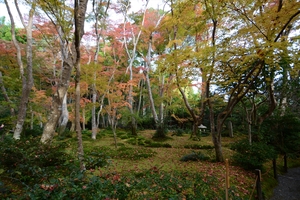 祇王寺001.JPG