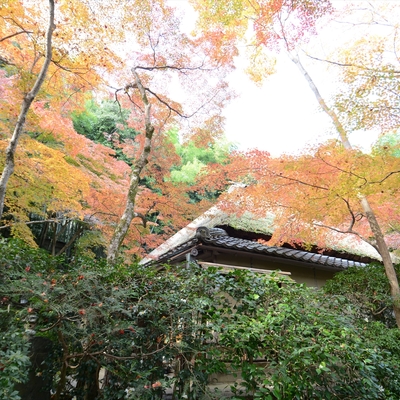 祇王寺008.JPG