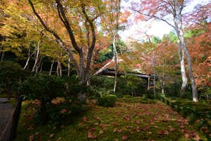 祇王寺027.JPG