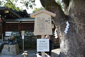 晴明神社018.JPG