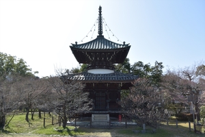 清涼寺029.JPG