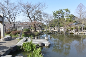 円山公園009.JPG