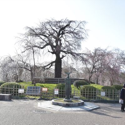 円山公園018.JPG