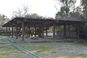 円山公園024.JPG