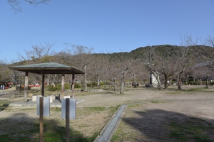 円山公園025.JPG