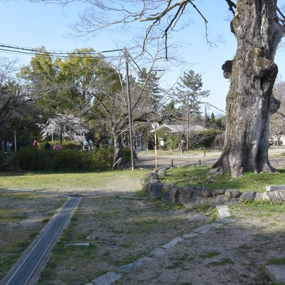 円山公園027.JPG