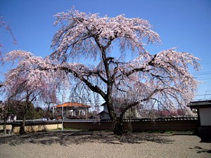 円通寺-4.JPG
