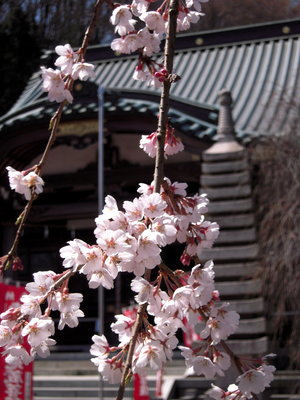 円通寺-6.JPG
