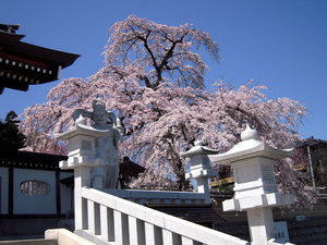円通寺-12.JPG