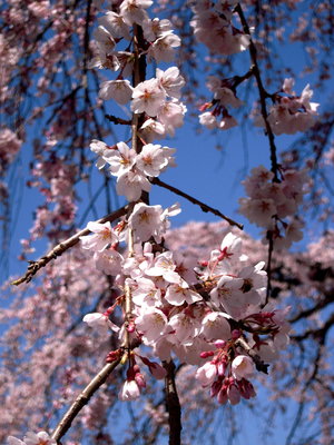 円通寺-7.JPG