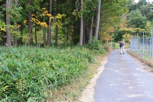 湖東三山056.JPG