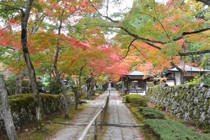 湖東三山061.JPG
