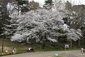 img_202103251600526340.jpg
