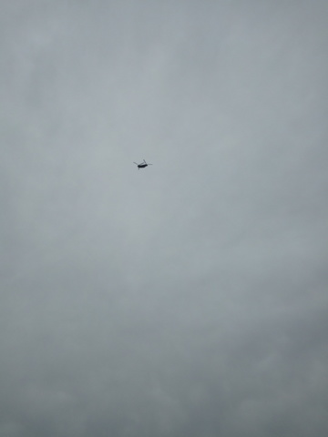 空 掲示板 マイネ王