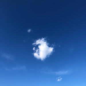 9484BC01-ACE5-4876-A4D2-ACFBC48C59C7.jpeg