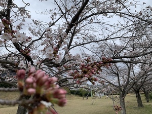 IMG_2022.jpeg