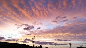 IMG_20201006_055119.jpg