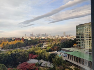IMG_20201214_073546.jpg